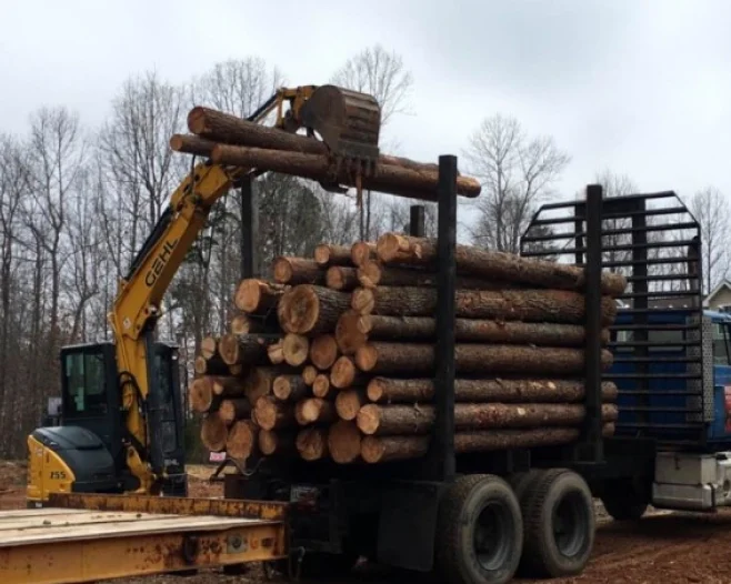 excavator loading tree logs on truck